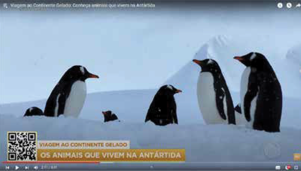 Pinguim em pé lado a ladoDescrição gerada automaticamente