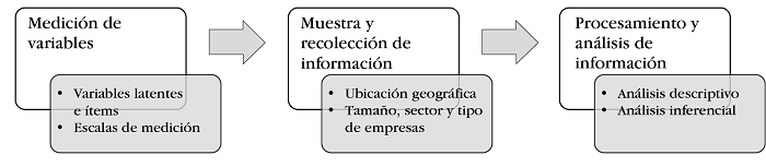 Proceso de investigación