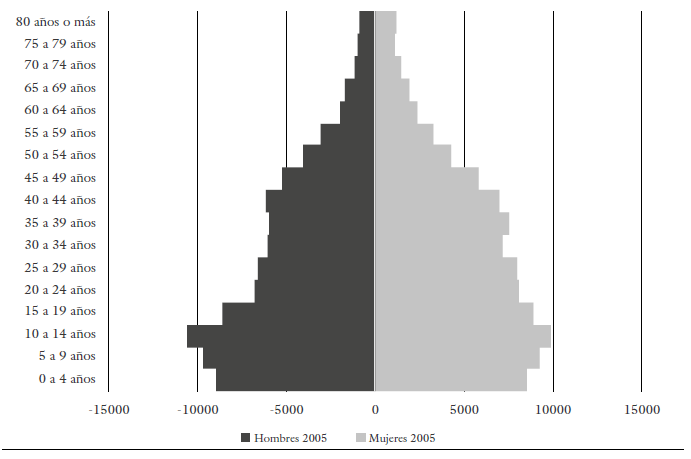 Pir&aacute;mide poblacional de Barrancabermeja, 2005