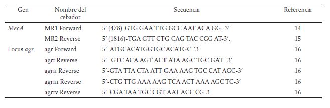 Secuencia de los cebadores empleados para amplificar
los genes mecA y el locus agr
