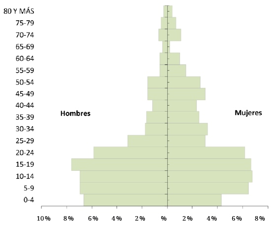 Composición
de la población por grupos de edad y sexo. VIS para población desplazada.
Turbo, Antioquia, 2015