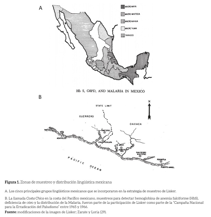 Zonas de muestreo y distribución lingüística mexicana