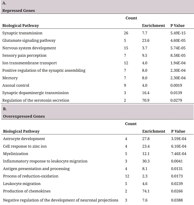 Biological pathways overrepresented
in deg
