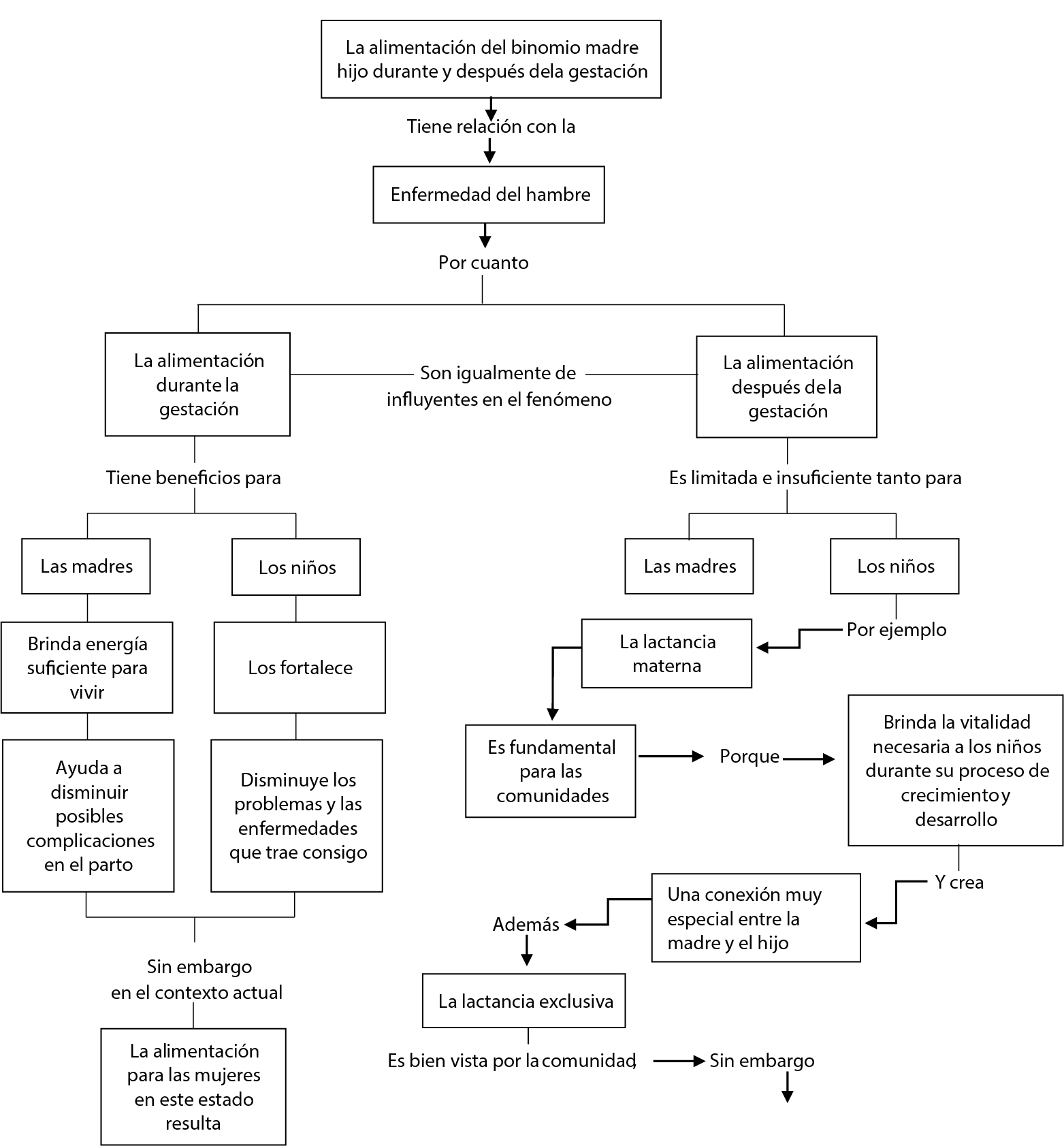 Mapa conceptual de la categoría analítica “la enfermedad del hambre: su relación con la alimentación del binomio madre-hijo, durante la gestación y después de esta”
