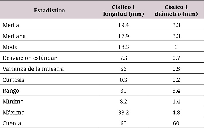 Longitud y diámetro de los conductos císticos