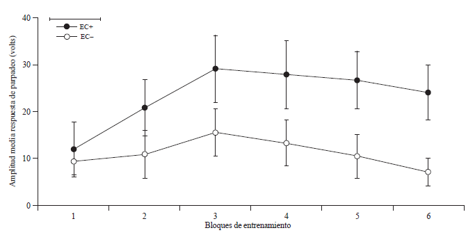 Amplitud media de la respuesta condicionada de parpadeo
según el estímulo entrenado (EC+ y EC-) en el curso del entrenamiento